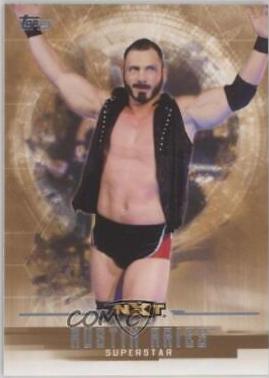 Austin Aries [Bronze] #43