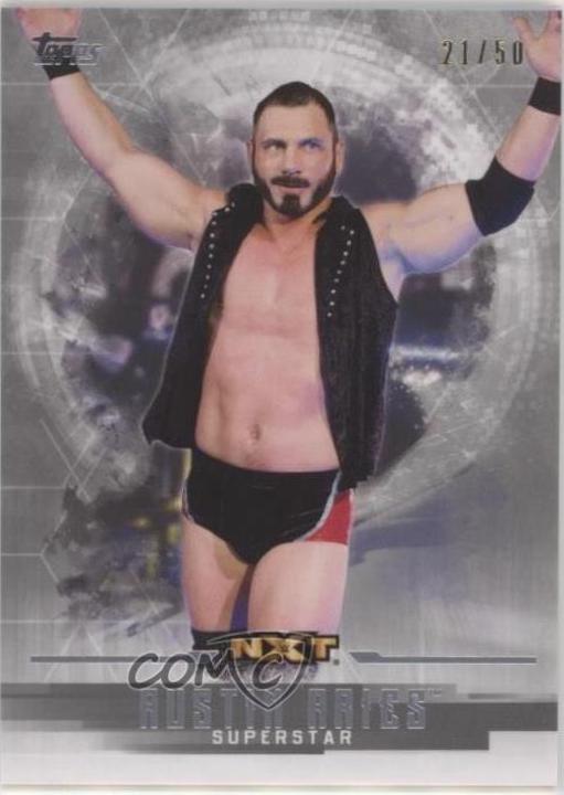 Austin Aries [Silver] #43