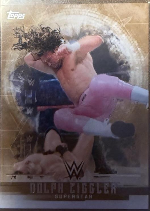 Dolph Ziggler [Bronze] #13