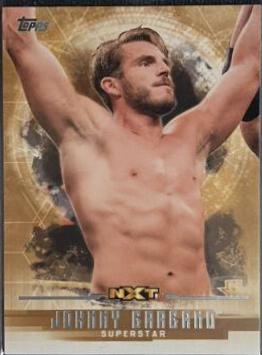 Johnny Gargano [Bronze] #48