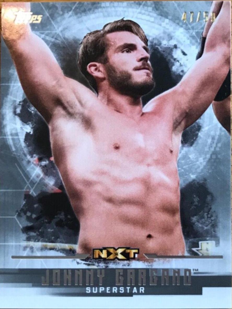Johnny Gargano [Silver] #48