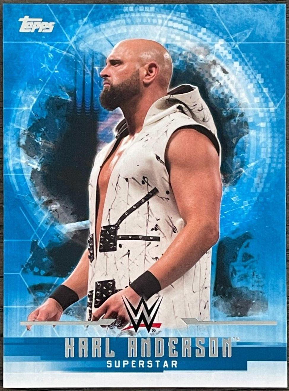 Karl Anderson #19
