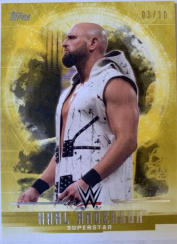 Karl Anderson [Gold] #19