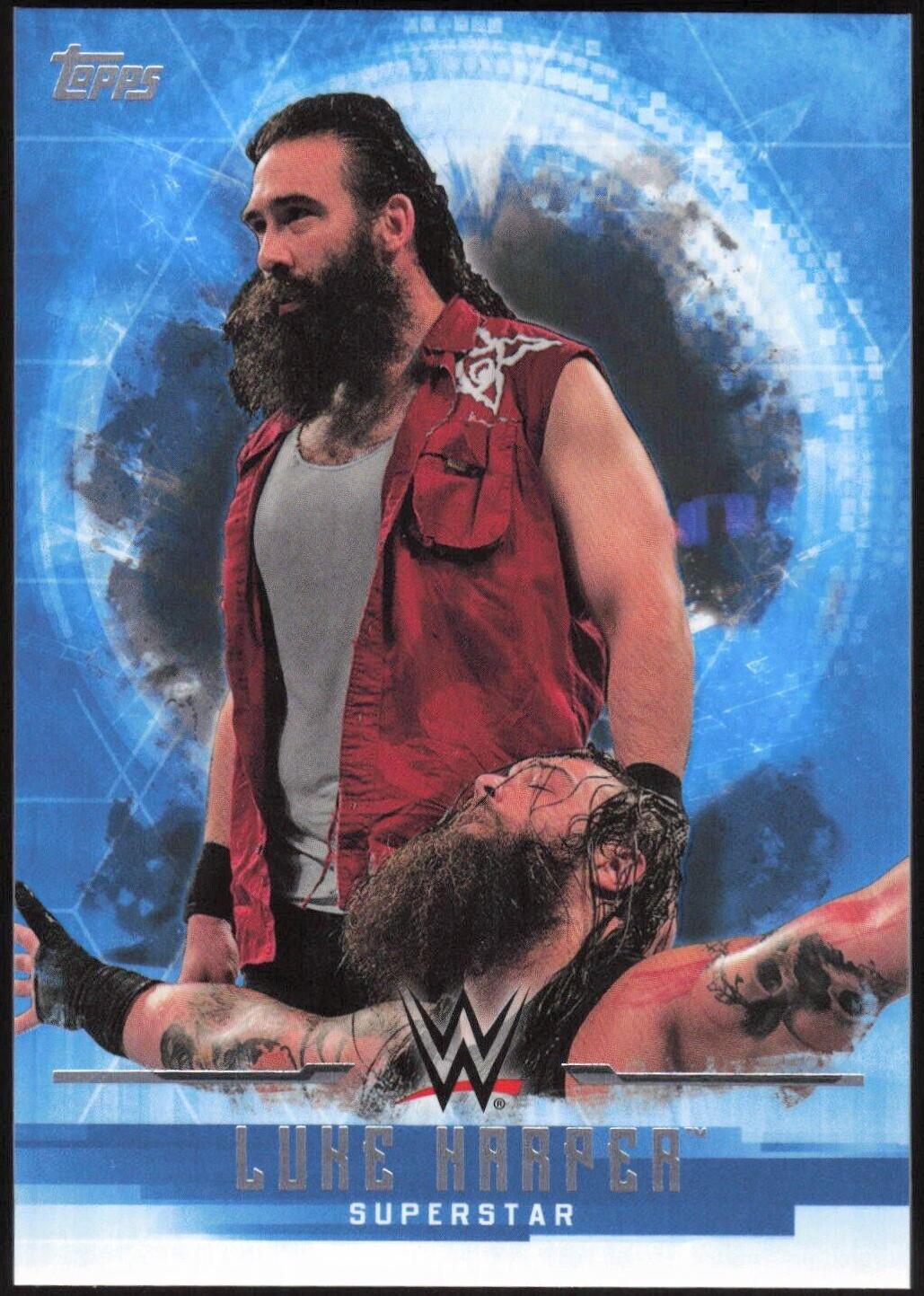 Luke Harper #23