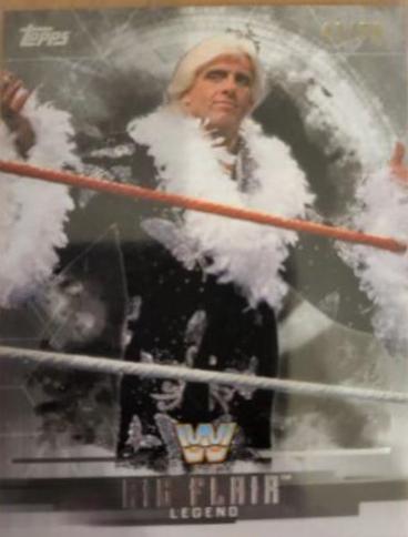 Ric Flair [Silver] #65
