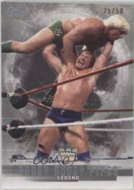 Roddy Piper [Silver] #66