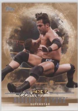 Roderick Strong [Bronze] #52