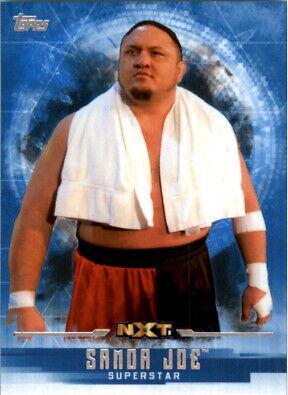 Samoa Joe #53