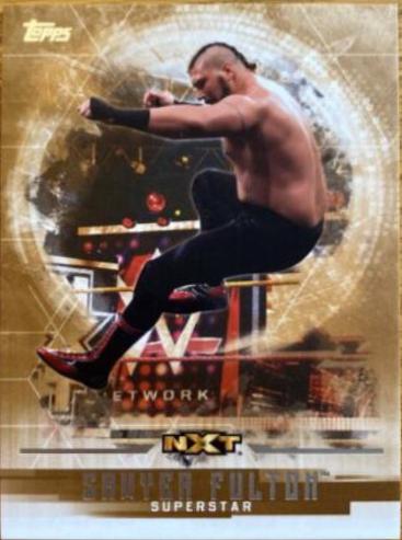 Sawyer Fulton [Bronze] #54