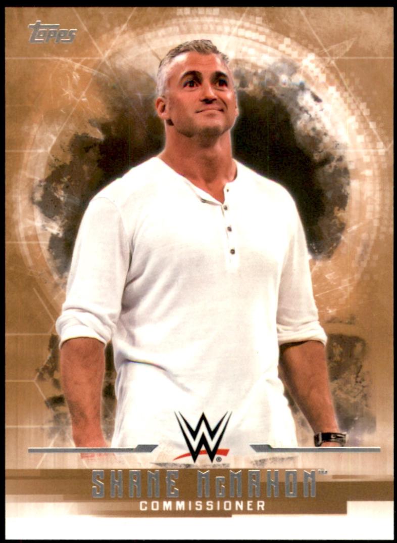 Shane McMahon [Bronze] #34