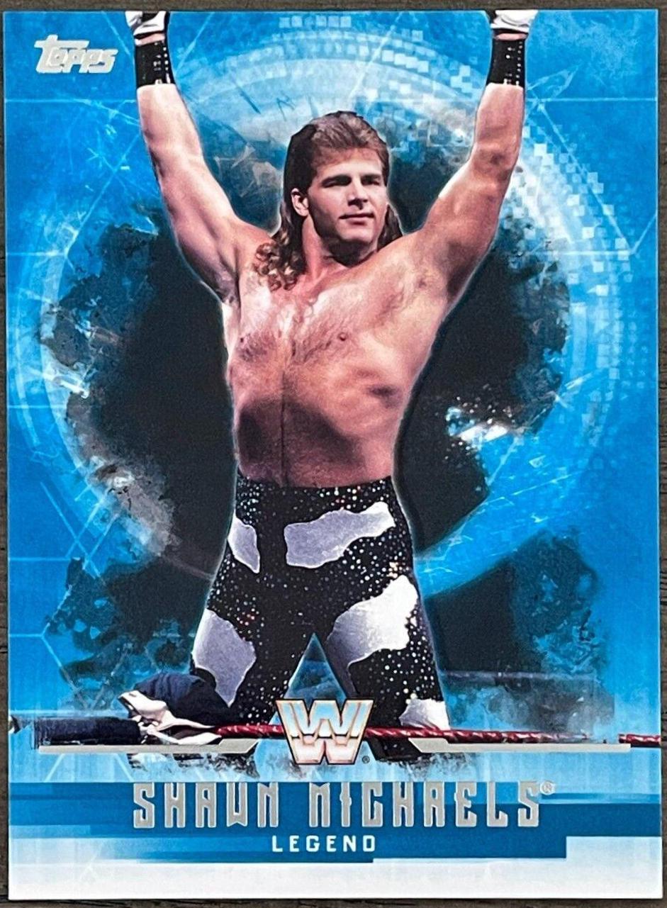 Shawn Michaels #67