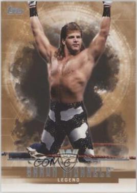 Shawn Michaels [Bronze] #67