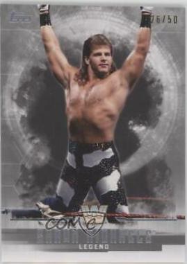Shawn Michaels [Silver] #67