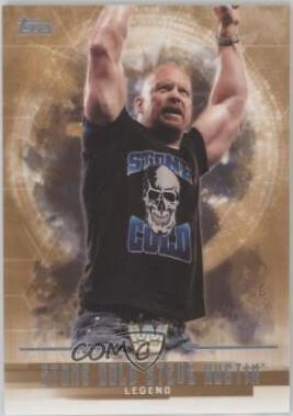 Steve Austin [Bronze] #69