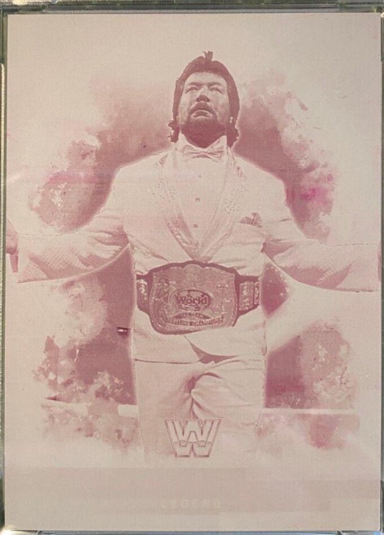 Ted DiBiase #64