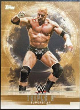 Triple H [Bronze] #37