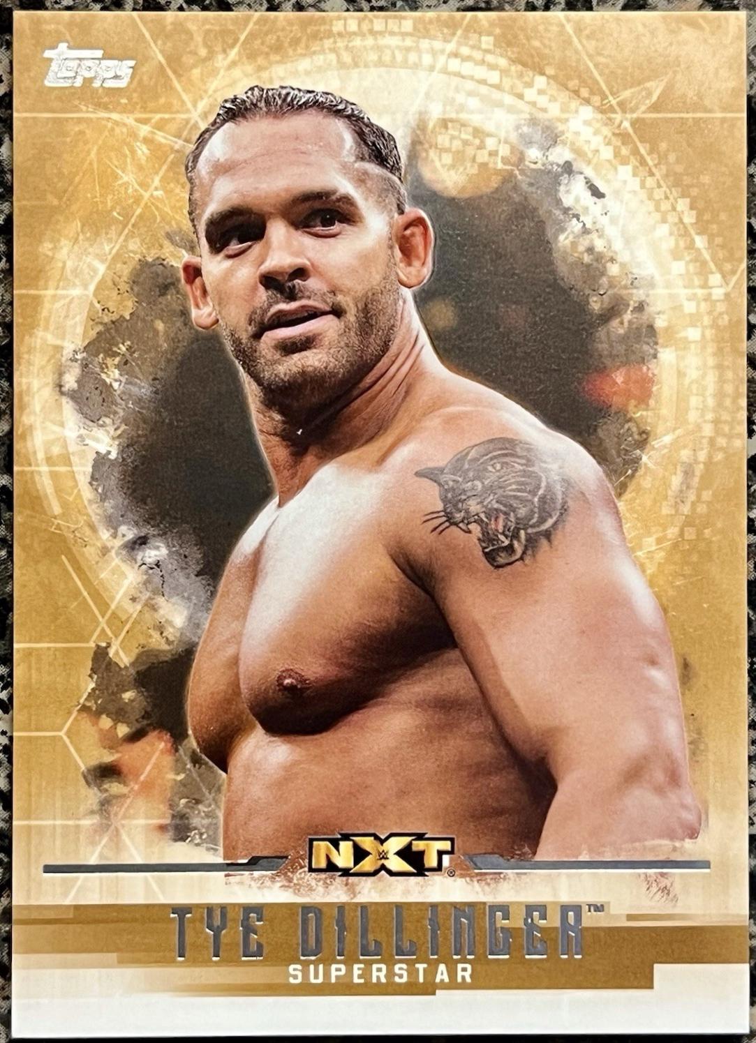 Tye Dillinger [Bronze] #59