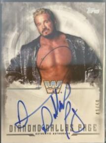 Diamond Dallas Page [Silver] #UA-DD