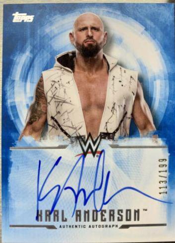 Karl Anderson #UA-KA