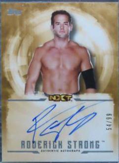 Roderick Strong [Bronze] #UA-RS