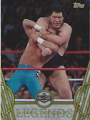 Andre the Giant #1