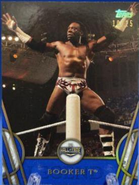 Booker T [Blue] #7