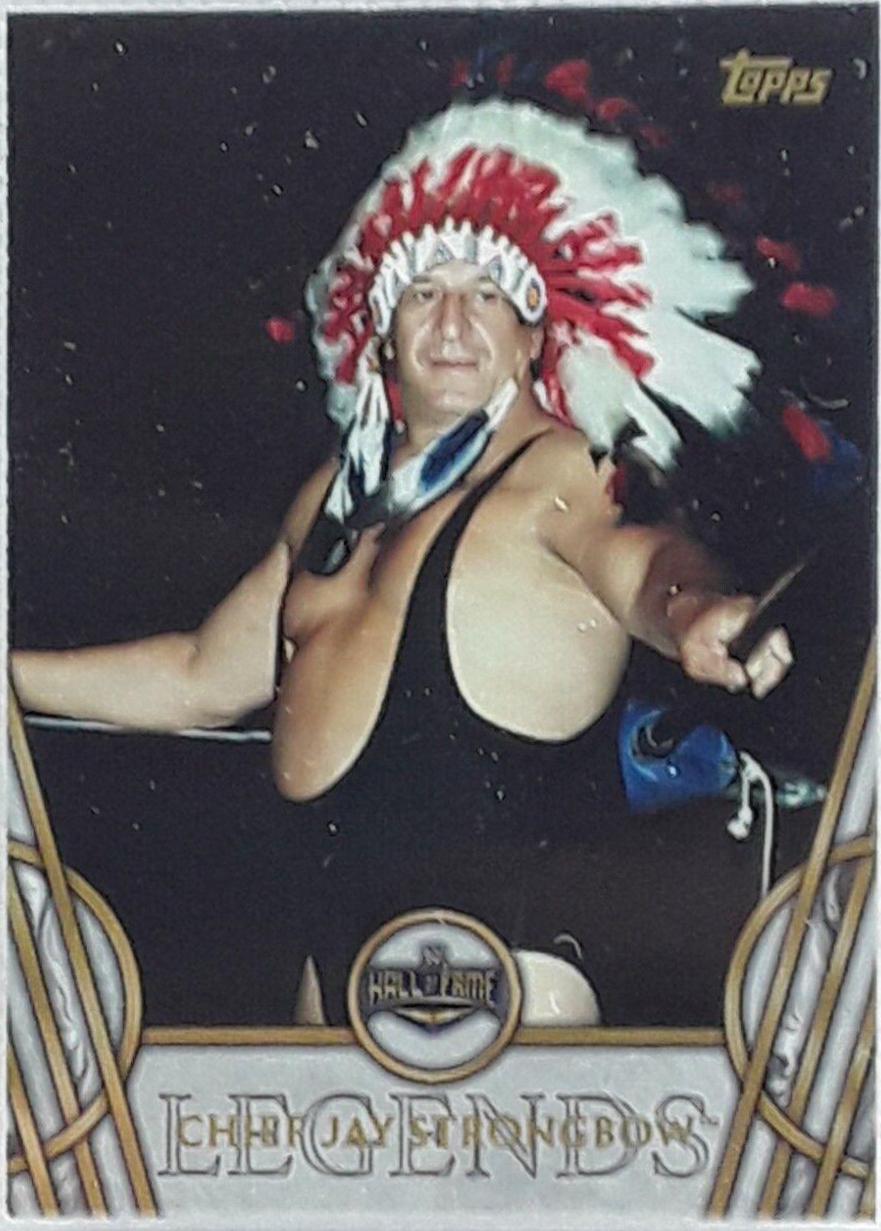 Chief Jay Strongbow #9