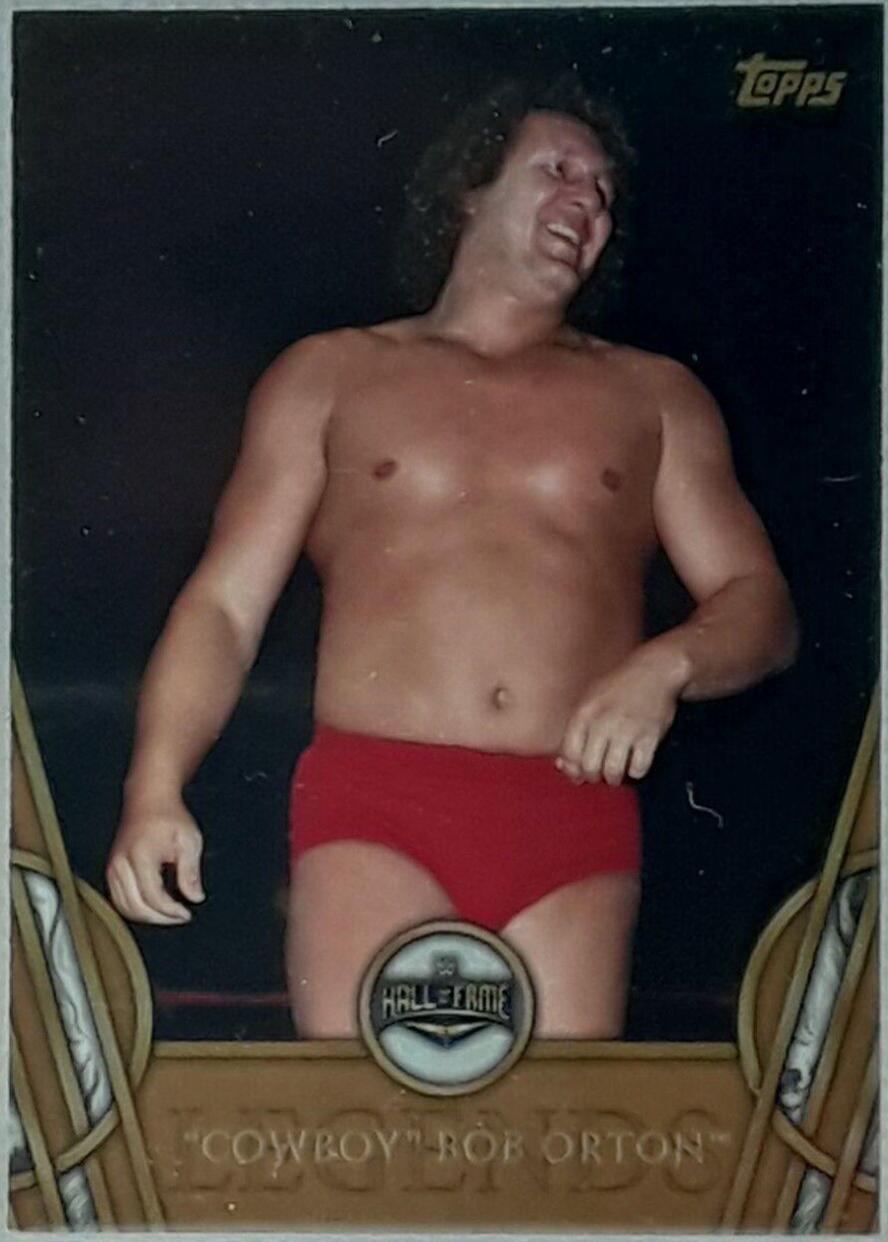 Cowboy' Bob Orton [Bronze] #11