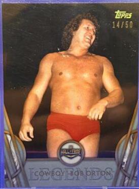 Cowboy' Bob Orton [Silver] #11