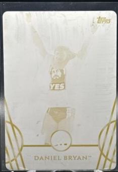 Daniel Bryan #59
