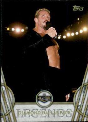 Diamond Dallas Page #13