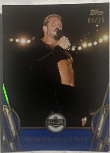 Diamond Dallas Page [Blue] #13
