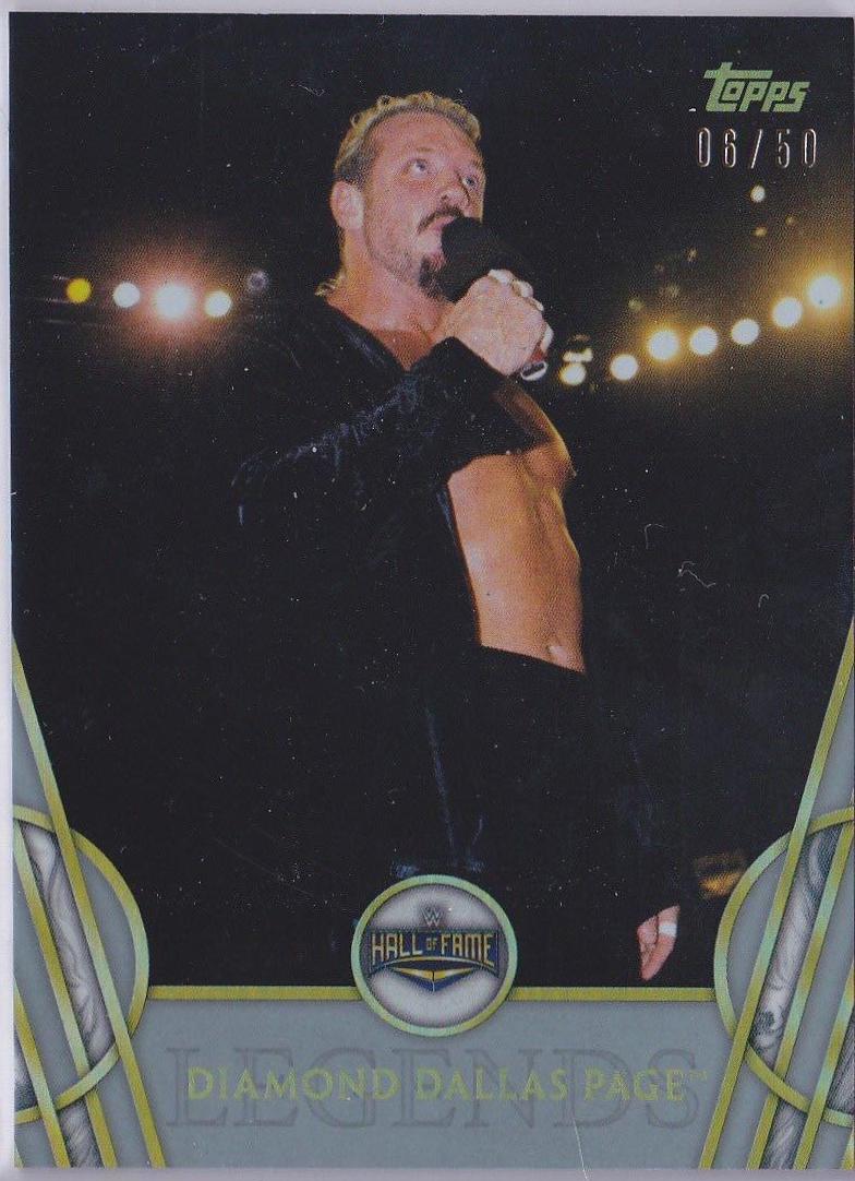 Diamond Dallas Page [Silver] #13