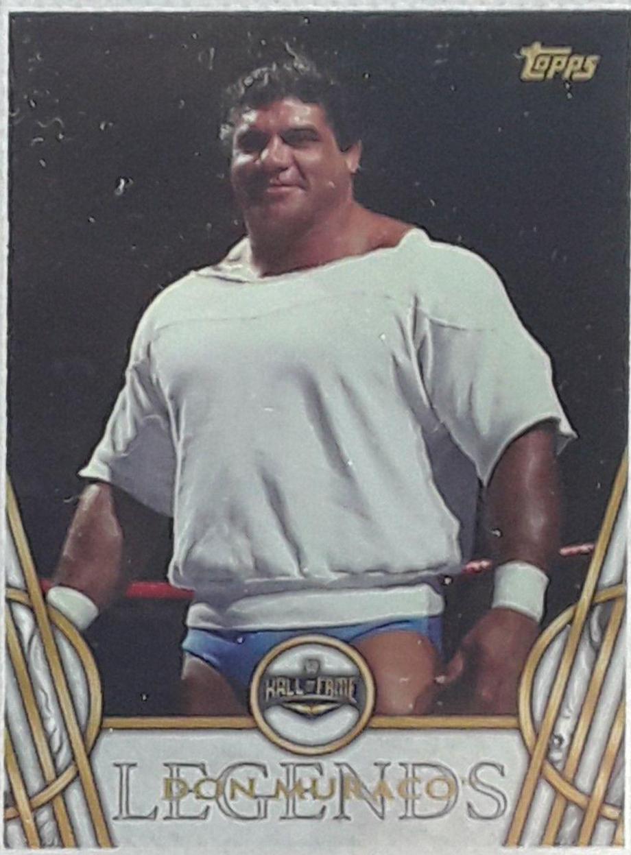 Don Muraco #14