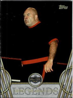 George 'The Animal' Steele #19
