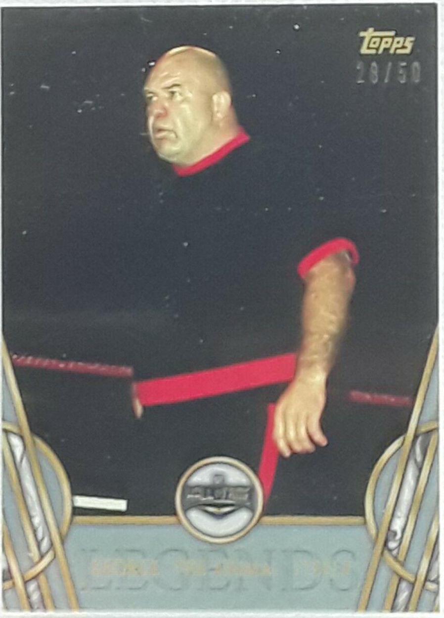 George 'The Animal' Steele [Silver] #19