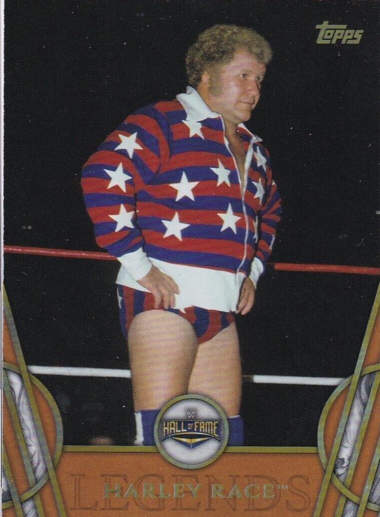 Harley Race [Bronze] #22