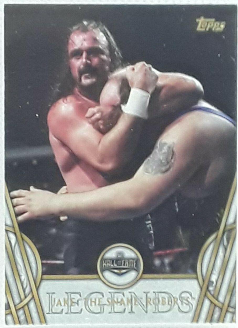 Jake 'The Snake' Roberts #24