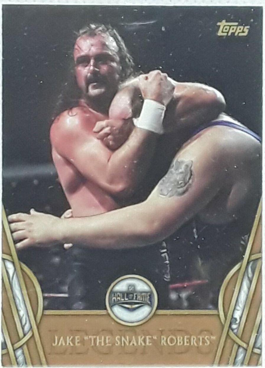 Jake 'The Snake' Roberts [Bronze] #24