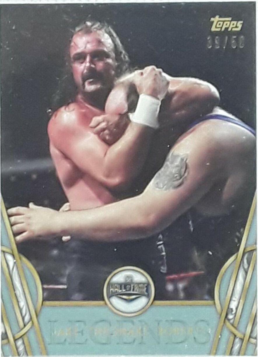 Jake 'The Snake' Roberts [Silver] #24