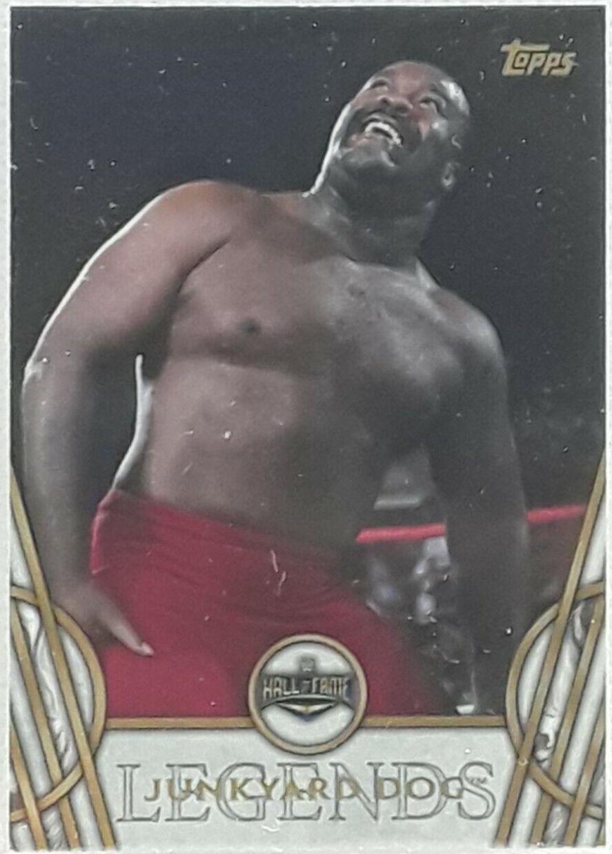 Junkyard Dog #28