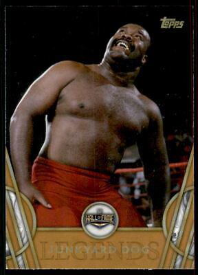 Junkyard Dog [Bronze] #28