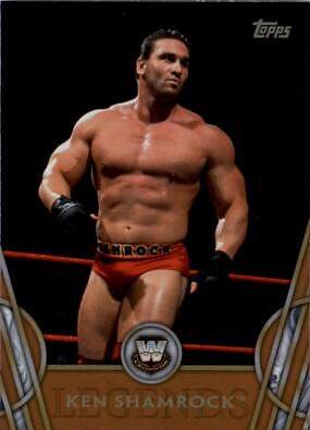 Ken Shamrock [Bronze] #29