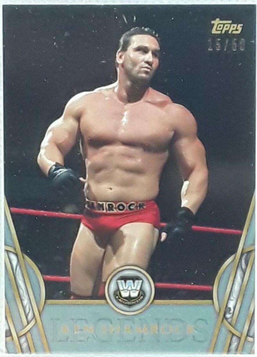 Ken Shamrock [Silver] #29