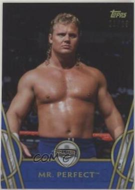 Mr. Perfect [Blue] #36