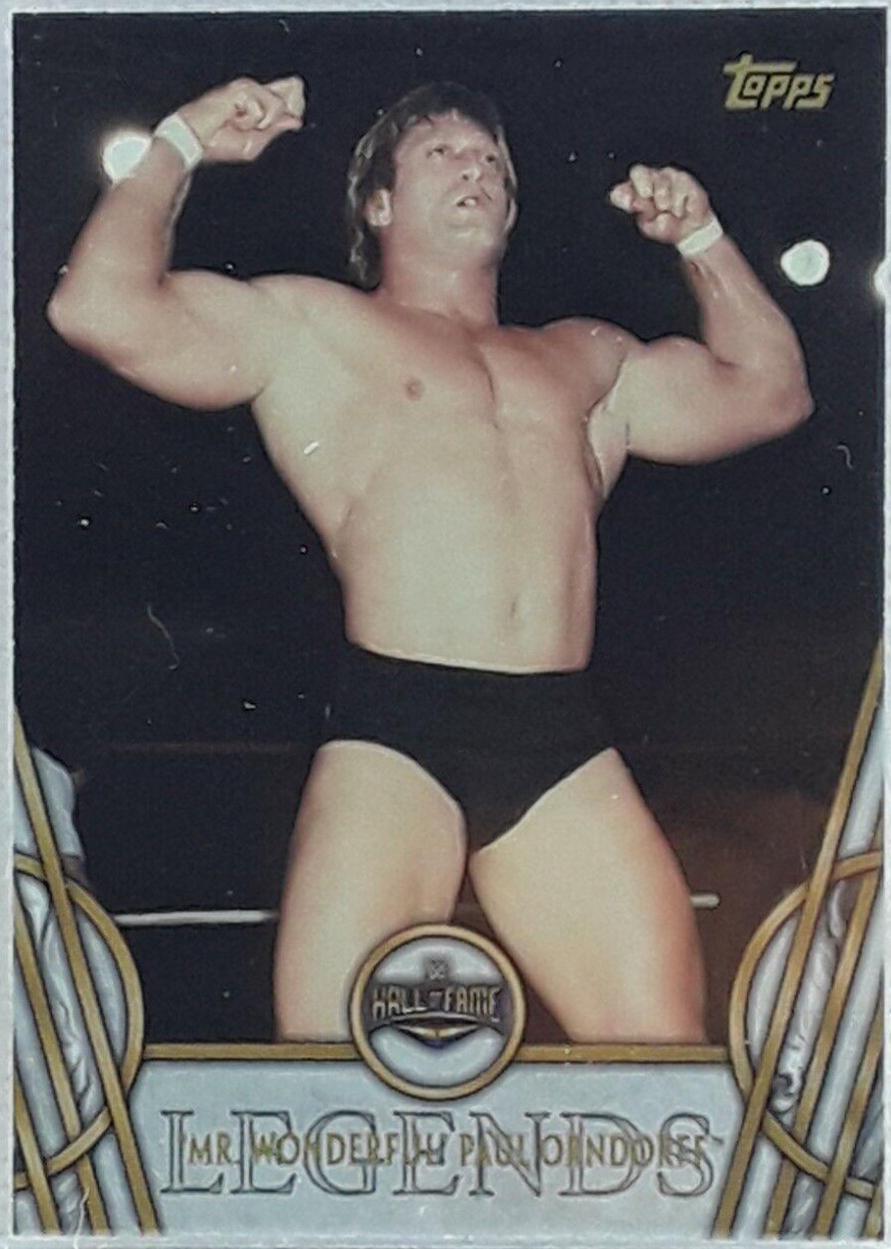 Mr. Wonderful' Paul Orndorff #37