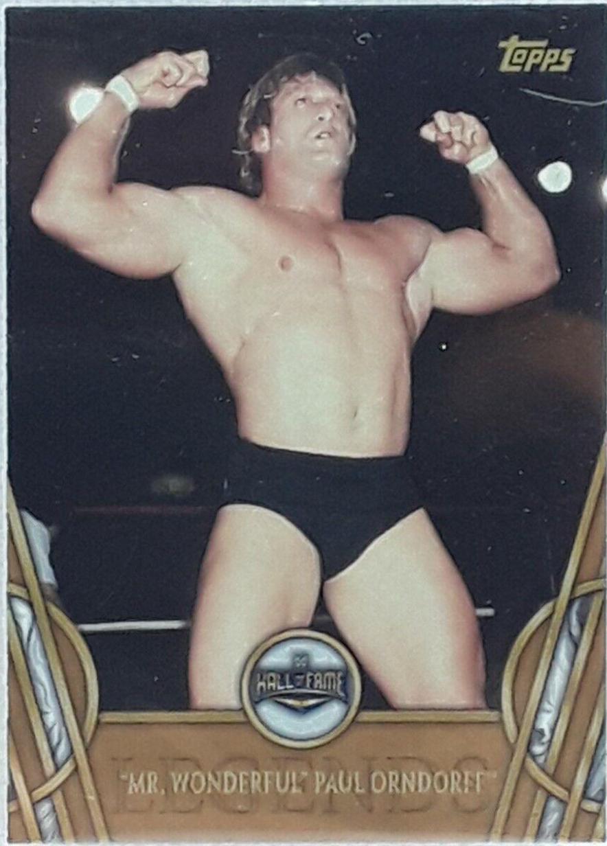 Mr. Wonderful' Paul Orndorff [Bronze] #37
