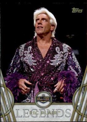 Ric Flair #41