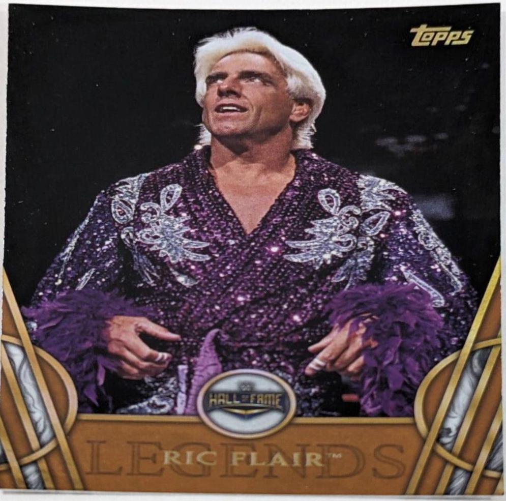 Ric Flair [Bronze] #41