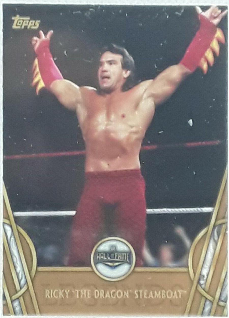 Ricky 'The Dragon' Steamboat [Bronze] #42
